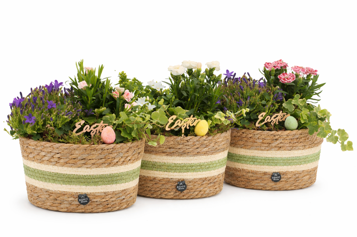 <h4>70894: Easter outdoor arrangement</h4>