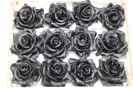 <h4>Wax Roos Zwart</h4>