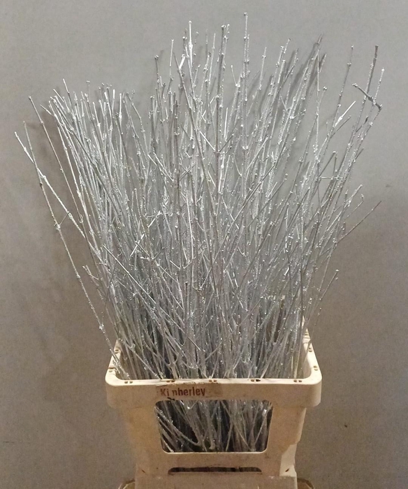 <h4>DECOGROEN OV KLB H%</h4>