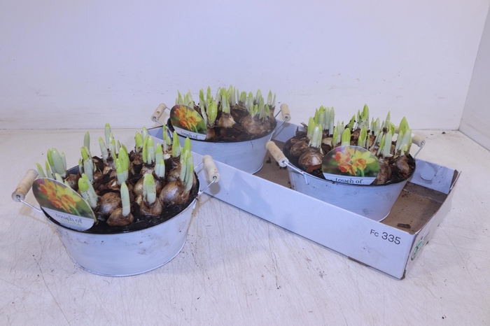 <h4>ARR N TETE A TETE</h4>