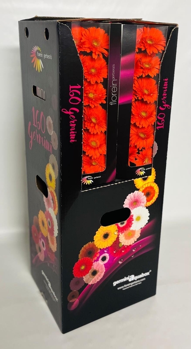 <h4>GE MI HENRY Aquabox *160</h4>