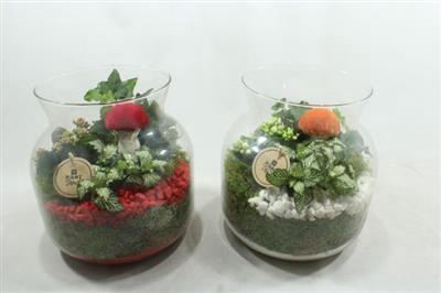 <h4>5430 CANDY JARDIN RD/WIT</h4>