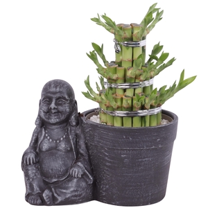 Lucky Bamboo Shape Round 3B in Ceramic Sitting Buddha Ø21cm