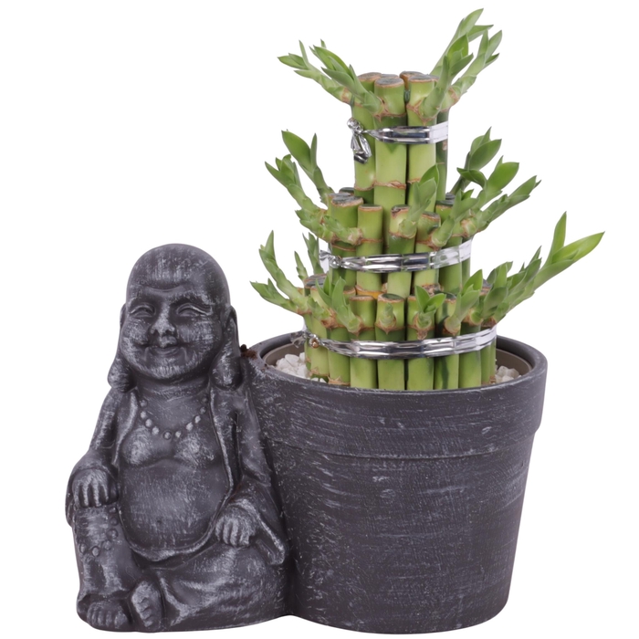 <h4>Lucky Bamboo Shape Round 3B in Ceramic Sitting Buddha Ø21cm</h4>