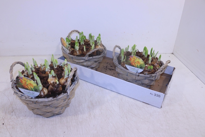 <h4>ARR N TETE A TETE</h4>