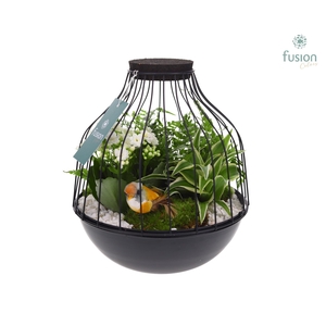 Vogelkooi metaal zwart Large LED met arrangement