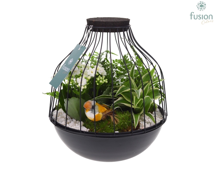 <h4>Vogelkooi metaal zwart Large LED met arrangement</h4>