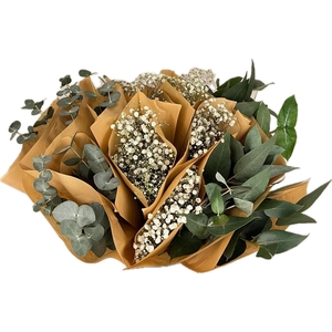 Bq Mono Eucalyptus - Gyps mix