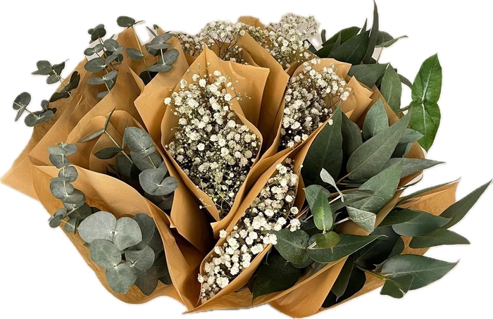 <h4>Bq Mono Eucalyptus - Gyps mix</h4>