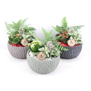 arr2 PL - Keramiek motief mix - rood/wit