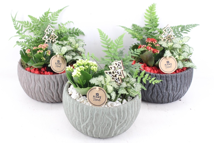 <h4>arr2 PL - Keramiek motief mix - rood/wit</h4>