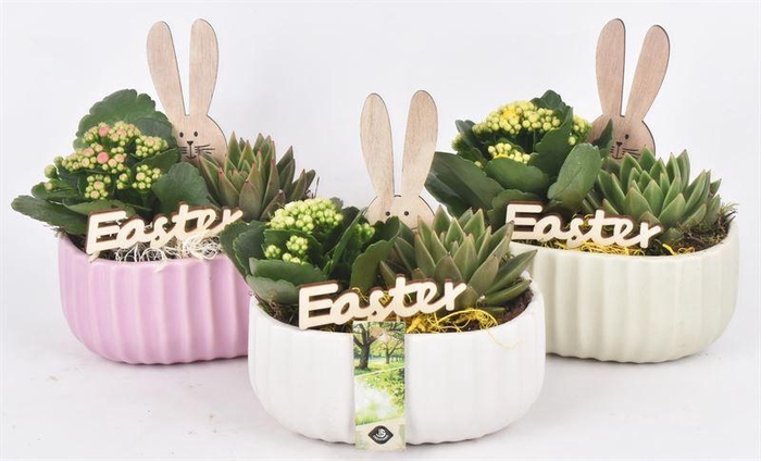 <h4>Keramiek ovaal mix kleur 18,5x12cm</h4>