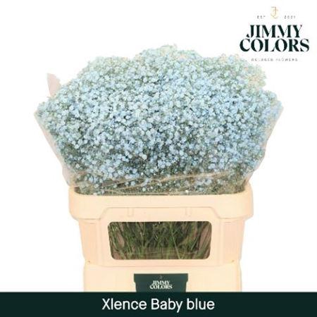 Gyps Grof Baby Blue (dip)