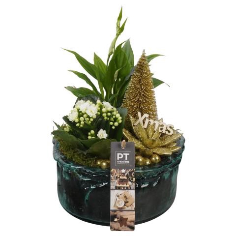 <h4>PTCHG5725 Arrangementen Kerst</h4>