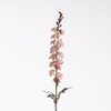AF Delphinium Dried L85cm Pink