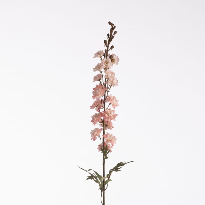 <h4>Af Delphinium Dried L85cm Pink</h4>