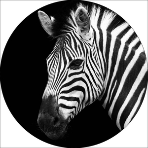 Frame Glass Ø40cm Zebra 93658