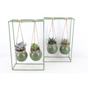 arr2 MB - Groen ijzer rek 2glas