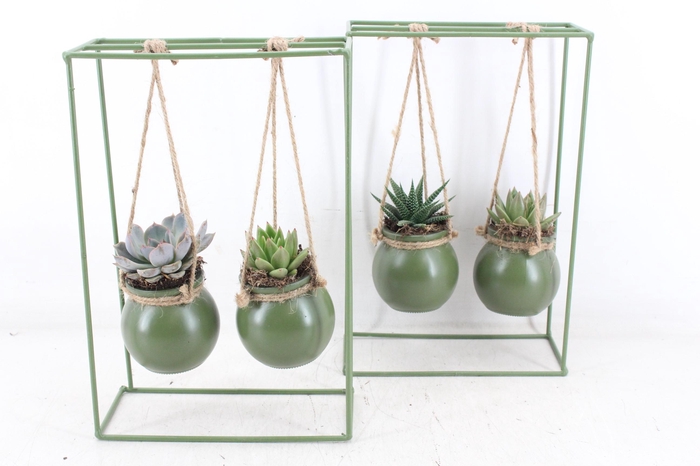 <h4>arr2 MB - Groen ijzer rek 2glas</h4>