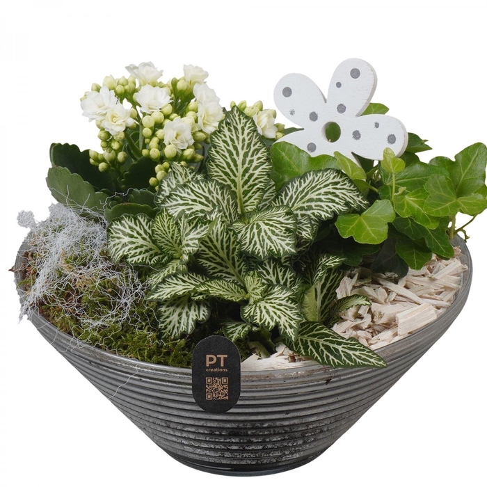 <h4>Arr. Planten L%</h4>