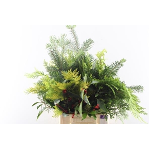 Deco Kerstgroen Mix Per Bos