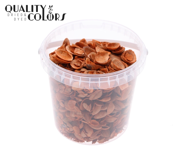 Shells north sea 1 ltr Orange