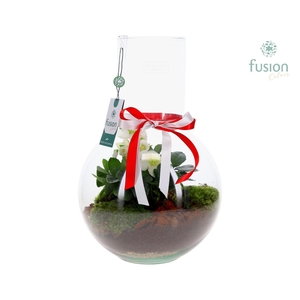 Green Bottle Suzanne Large met Helleborus