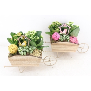 arr2 MB - Hout kruiwagen old look