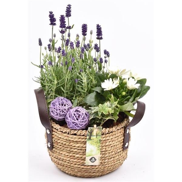 <h4>Touwmand met leer handv.20-22cm</h4>