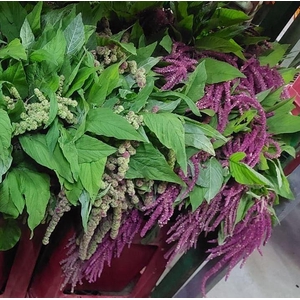 A.Greens - Amaranthus mix
