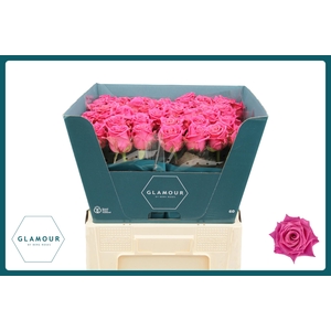 R GR CHARLOTTE GLAMOUR