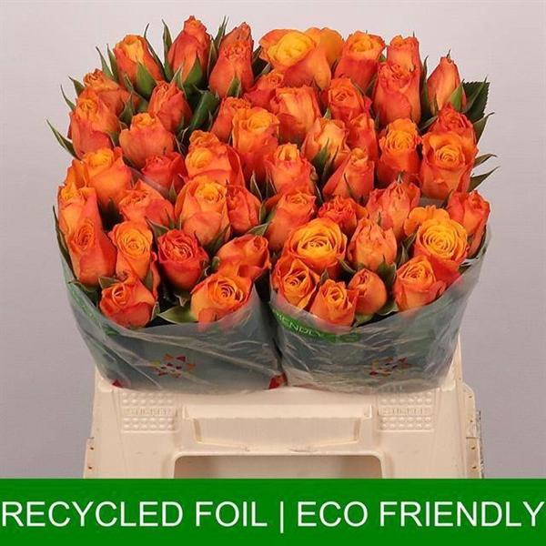 <h4>R GR CONFIDENTIAL</h4>