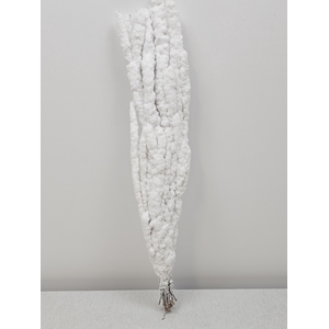 BETULA BS KLB WIT SNEEUW PER TAK