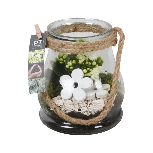<h4>PTIG1453 Arrangement Indoor in glas vaas</h4>