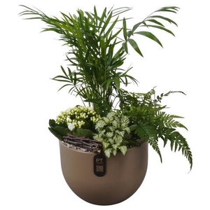 PTIB5164 Arrangement Indoor in keramiek pot