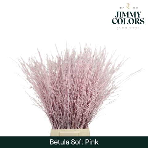 <h4>Betula L70 Soft Pink</h4>