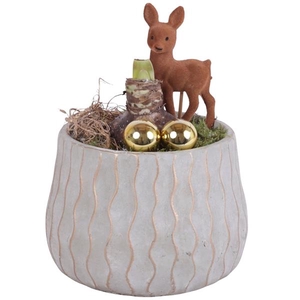 Christmas Arr. Amaryllis Ceramic Pure Luxury N569 Ø16cm 1PP