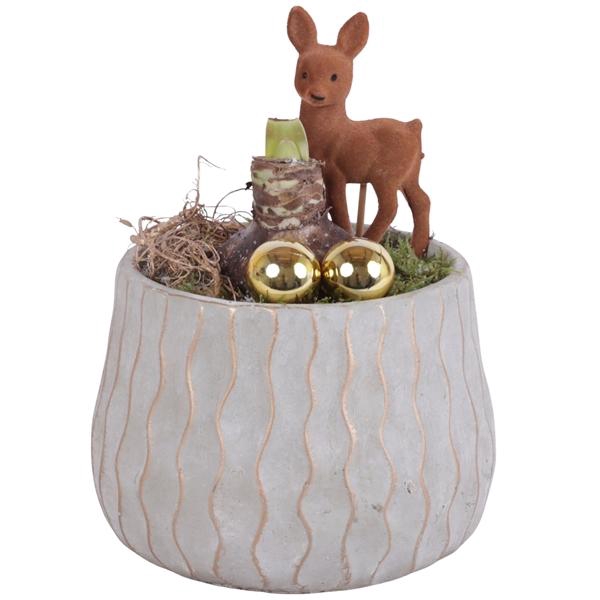 <h4>Christmas Arr. Amaryllis Ceramic Pure Luxury N569 Ø16cm 1PP</h4>