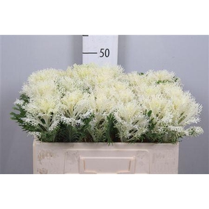 Brass Crane Fea Snow