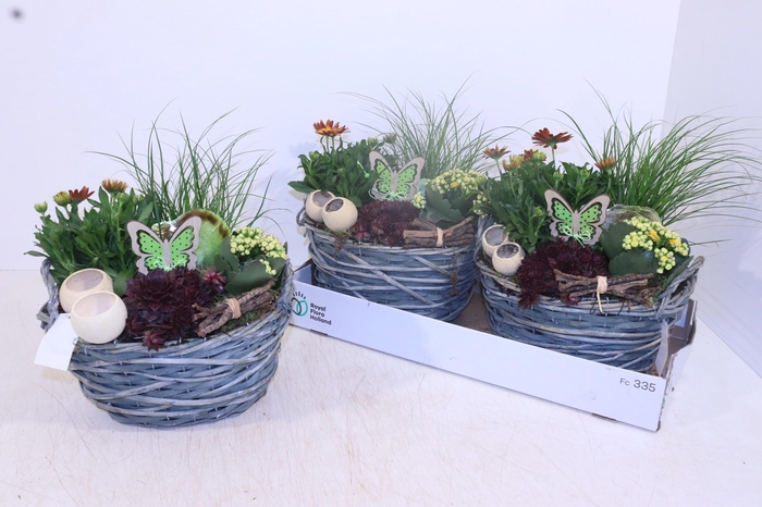 <h4>ARR TUINPLANTEN</h4>