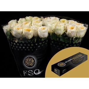 R Gr Gar Antonia Garden Box