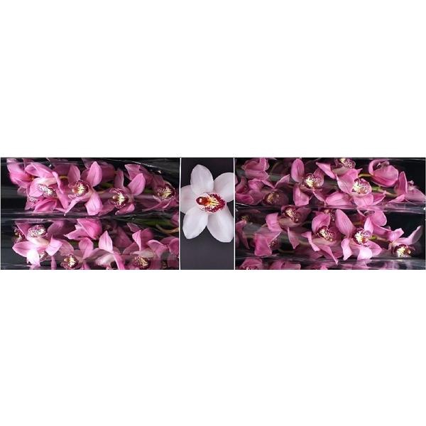 <h4>Cymb Tak Sky Screper x 4</h4>