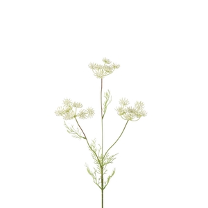 Dille 84cm