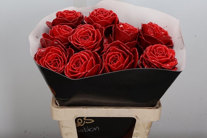 <h4>Brassica Wx (ex) Rood</h4>