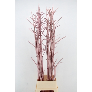 Ferule Kapstok Antique Pink