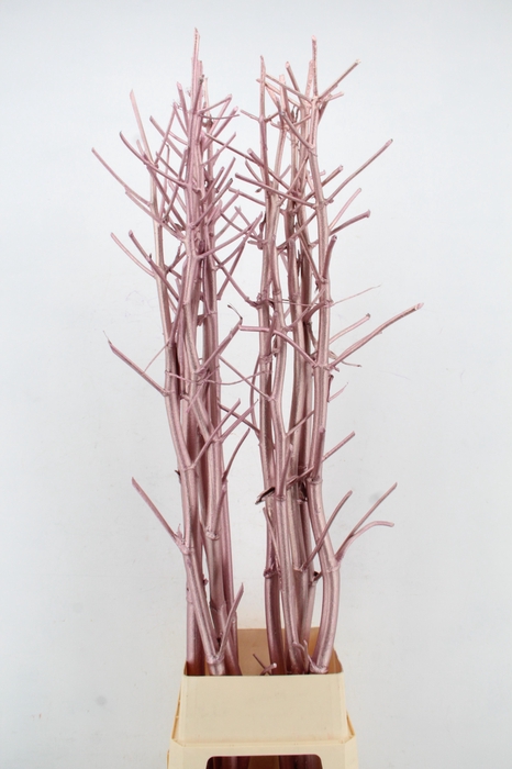 <h4>Ferule Kapstok Antique Pink</h4>