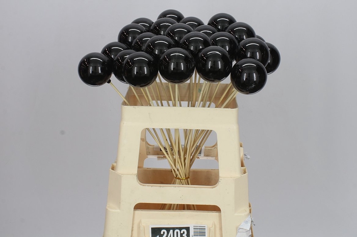 <h4>X-mas Balls Black X25</h4>