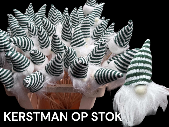 <h4>HUIS EN TUINDECO H%</h4>