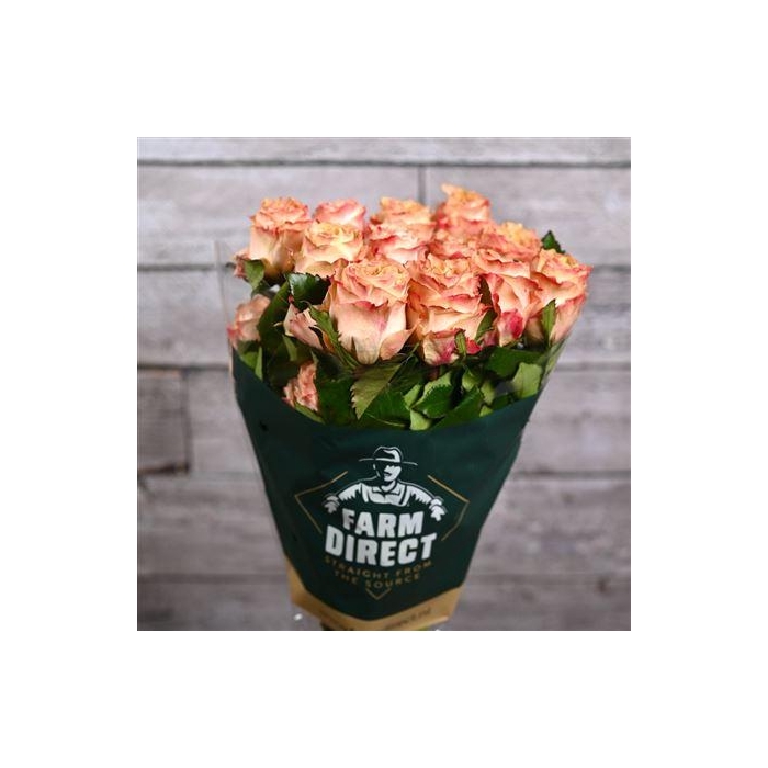 <h4>R Gr Princess Crown</h4>