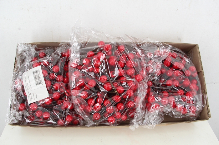 <h4>Stick Berries Rose Red Bag(24)</h4>